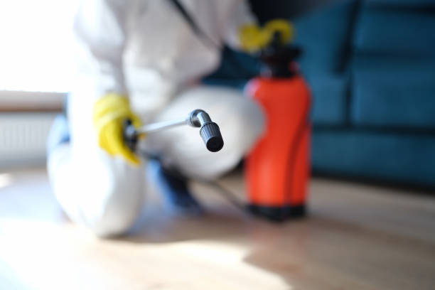 Wauconda, IL Mold Inspection, Removal & Remediation Company